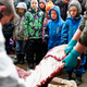 Illustration for article titled Zoo kills surplus giraffe in front of children, feeds it to lions